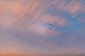 Big Skies with color from sunset