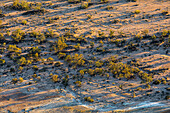 Abstract Nature Landscape. Dry arid landscape from central South Australia. Aerial images over the Painted Desert, Dry Creek Beds, and scrub bushland