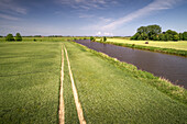 Fields at Crildumer Tief, Wangerland, Friesland, Lower Saxony, Germany, Europe