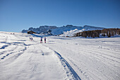 Ski trails on the plateau near Seiser Alm and Ortisei in Gröden aka Val Gardena, Autonomous Province of Bolzano - South Tyrol, Italy
