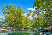 Canal du Vassé, Annecy, Haute-Savoie department, Auvergne-Rhone-Alpes, France