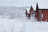 Barns covered in snow. Winter scene in Swedish Lapland