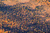 Dry arid landscape from central South Australia. Aerial images over the Painted Desert, Dry Creek Beds, and scrub bushland