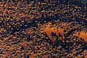 Abstrakte Luftaufnahme einer trockenen, trockenen Landschaft im zentralen Südaustralien. Luftaufnahmen über der Painted Desert, den Dry Creek Beds und Buschland