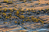 Abstrakte Naturlandschaft. Trockene Landschaft im zentralen Südaustralien. Luftaufnahmen über der Painted Desert, den Dry Creek Beds und dem Buschland