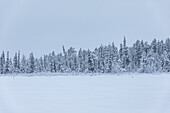 Serene Winter scene in Swedish Lapland
