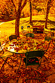 Baum und Terrasse im Herbst, Gartentisch und Herbstlaub in der Lombardei, Italien