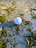 Golfball auf Fairway-Gras mit Eis und Sonnenlicht in Lugano, Tessin in der Schweiz