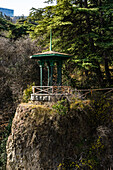 Spring in Tbilisi botanical garden, capital city of Georgia