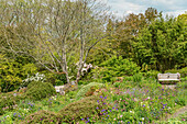 Sommergarten im "The Garden House", Yelverton, Devon, England