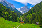 Hut near Roselaui with the Wellhörner, Bernese Oberland, Canton of Bern, Switzerland