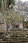 Maya-Ruinen Calakmul, Süd- Yucatan, Mexiko