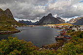 Blick auf Reine, Moskenesoy, Lofoten, Norwegen. Bewölkter Himmel. Blüten im Vordergrund.