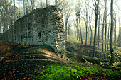Die alte Burgruine Landeck bei Schenklengsfeld, Hessen, Deutschland