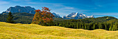 Buckelwiesen between Mittenwald and Krün, Werdenfelser Land, behind it the Zugspitze, 2962m, Wetterstein Mountains, Upper Bavaria, Bavaria, Europe