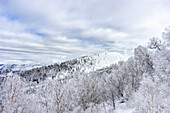 Covered with snow Caucasus mountain in Bakuriani resort, Georgia