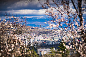 Frühling, Blick auf die Stadt Tiflis mit blauem Himmel und weißen Wolken, Georgien