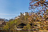 Blick auf das Schloss Hohenauschau, von unten. Vordergrund unscharf. Chiemgau, Oberbayern, Bayern, Deutschland