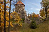 Weg zur Burg Cesis im Herbst, Lettland, Baltikum. Gelbes Laub.