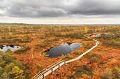 Moorsee, Herbstfarben Sandra, Viljandi, Estland. Spiegelung im Wasser. Holzbohlenweg, Baltikum