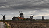 Mill Mountain of Angla. $ windmills. Museum. Saare, Saaremaa, Estonia.
