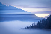 Bewaldete Hügel und Täler im Nebel. Abendstimmung. Schwarzwald, Baden-Württemberg, Deutschland.
