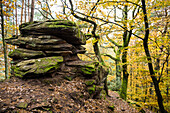 Herbstlich verfärbter Wald und Sandsteinfelsen, Rehbergturm, Annweiler, Pfälzer Wald, Rheinland-Pfalz, Deutschland