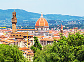 Vew der Kathedrale der Heiligen Maria der Blume und des Palazzo Vecchio aus Bardini-Gärten, Florenz, Toskana, Italien