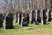 Buttenheim, Jüdischer Friedhof in Oberfranken, Bayern, Deutschland