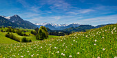 Panorama from the Malerwinkel into the Illertal, behind the Allgäu Alps, Oberallgäu, Bavaria, Germany, Europe