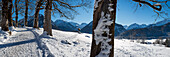 Winterwanderweg am Aussichtspunkt Hofmannsruh über Oberstdorf, Oberallgäu, Allgäu, Bayern, Deutschland, Europa