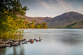 Lake Buttermere, Cumbria, Lake District, England. Trees, stones in the foreground.