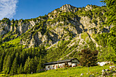 Staudacher Alm auf dem Weg zum Hochgern in den Chiemgauer Alpen. Im Hintergrund Zwölferspitz. Marquartstein, Oberbayern, Bayern, Deutschland, Europa