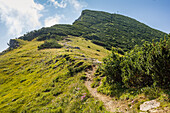 Gipfel mit Gipfelkreuz des Geigelsteins Sicht von unten. Schleching, Chiemgauer Alpen, Chiemgau, Ostalpen, Oberbayern, Bayern, Deutschland, Europa