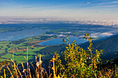 Ausblick auf den Bannwaldsee und auf den Forggensee, Vordergrund Unscharf, mit Hochnebel. Schwangau, Allgäu, Schwaben, Bayern, Deutschland, Europa