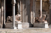Blick auf die zwei säulentragende Löwen des Duomo auf der Piazza del Comune, Cremona, Lombardei, Italien, Europa