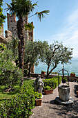 Blick in den Schloss Garten von Sirmione am Gardasee, Verona District, Venetien, Italien