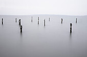 View of wooden poles in the water at Ammersee, Dießen, Ammersee, Bavaria, Germany, Europe