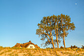 Thatched cottage on the beach in front of Ahrenshoop, Fischland-Darß-Zingst, Mecklenburg-West Pomerania, Germany