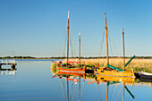 Zees boats in the port of Wiek, Fischland-Darß-Zingst, Mecklenburg-West Pomerania, Germany