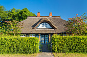 Thatched cottage in Born, Fischland-Darß-Zingst, Mecklenburg-West Pomerania, Germany