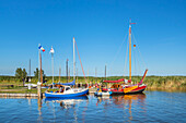 Hafen von Althagen, Ahrenshoop, Fischland-Darß-Zingst, Mecklenburg-Vorpommern, Deutschland