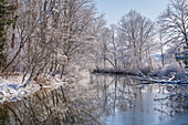 Wintermorgen am Altwasser der Ammer in der Nähe von Weilheim, Oberbayern, Deutschland, Europa
