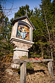 Eine Ädikula des neugotischer Kreuzwegs an der Hardtkapelle bei Wielenbach im Frühling, Weilheim, Bayern, Oberbayern, Deutschland