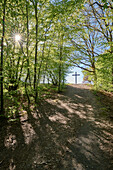 Die Frühliungssonne strahlt durch die Bäume; der Weg führt zum Kreuz, Bad Honnef, NRW, Deutschland