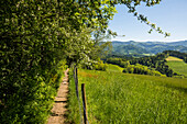 Hiking trail, near St Peter, Black Forest, Baden-Württemberg, Germany