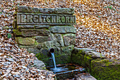 Quelle Breitenborn im Pfälzerwald, Schweigen-Rechtenbach, Südliche Weinstraße, Rheinland-Pfalz, Deutschland, Europa