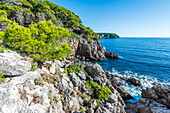 Rocky coast on Kolocep island near Dubrovnik, Croatia