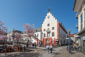 Town hall square with almond trees in bloom, Landau in der Pfalz, German Wine Route, Southern Wine Route, Rhineland-Palatinate, Germany