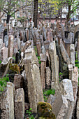 Grabsteine, alter jüdischer Friedhof, Jüdisches Museum, Josefstadt, Prag, Tschechien\n\n